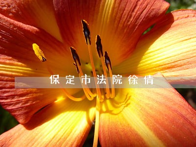保定市法院徐倩