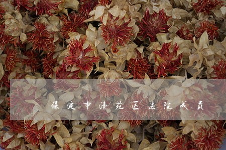 保定市清苑区法院成员 保定市清苑区法院成员