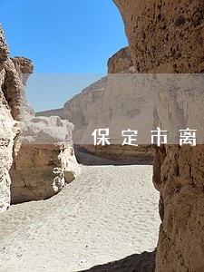 保定市离婚诉讼书范本