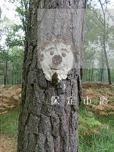 保定市离婚财产纠纷律师 保定市离婚财产纠纷律师