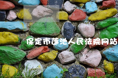 保定市莲池人民法院网站