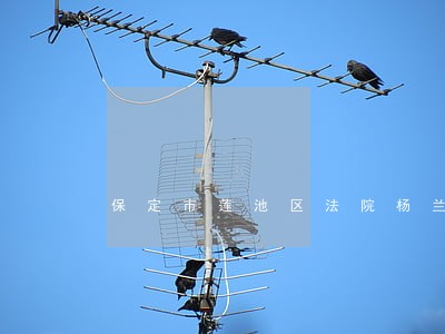 保定市莲池区法院杨兰池