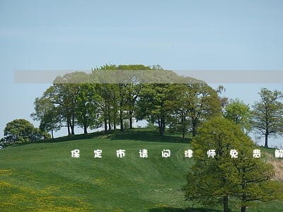 保定市请问律师免费解答 保定市请问律师免费解答