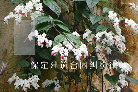 保定建筑合同纠纷律师 保定建筑合同纠纷律师