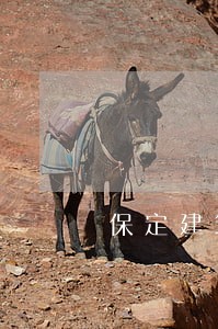 保定建筑房产律师哪个好 保定建筑房产律师哪个好