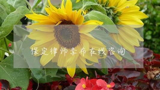 保定律师李布在线咨询 保定律师李布在线咨询