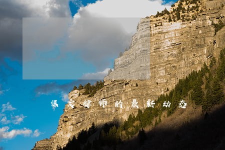 保定律师的最新动态 保定律师的最新动态
