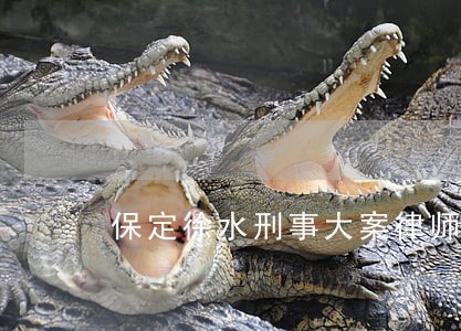 保定徐水刑事大案律师咨询 保定徐水刑事大案律师咨询