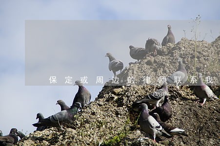保定或周边的律师联系我 保定或周边的律师联系我