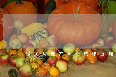保定房地产纠纷法律咨询 保定房地产纠纷法律咨询