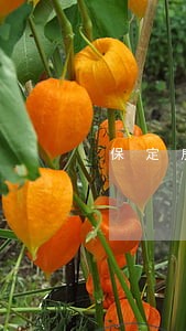 保定房屋征收与补偿条例 保定房屋征收与补偿条例