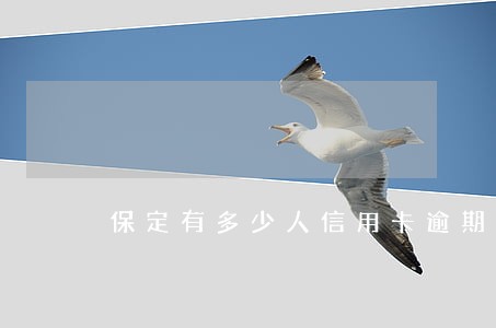 保定有多少人信用卡逾期的