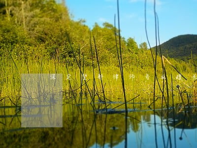 保定望都律师专业擅长推荐 保定望都律师专业擅长推荐