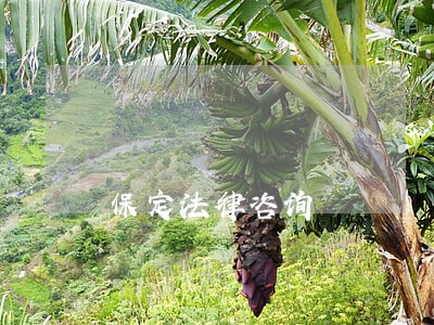 保定法律咨询