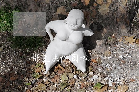 保定法院团队 保定法院团队