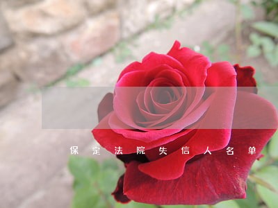 保定法院失信人名单