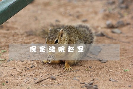 保定法院赵军 保定法院赵军