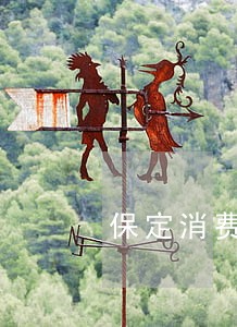 保定消费权益法律咨询热线