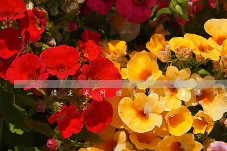 保定涿州债务律师事务所 保定涿州债务律师事务所