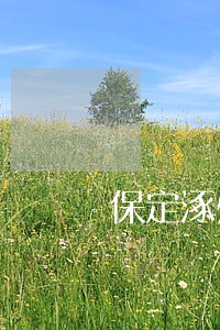 保定涿州委托债权债务律师电话 保定涿州委托债权债务律师电话