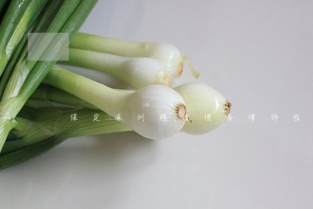 保定涿州聘请债务律师收费标准 保定涿州聘请债务律师收费标准