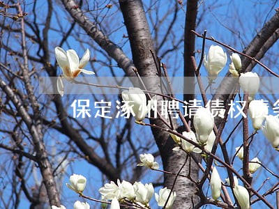 保定涿州聘请债权债务律师哪个好 保定涿州聘请债权债务律师哪个好