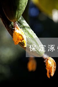 保定涿州请债务律师法律服务 保定涿州请债务律师法律服务