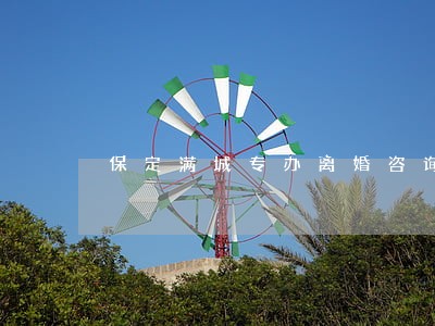 保定满城专办离婚咨询律师