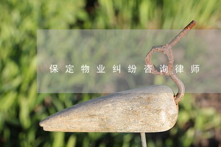 保定物业纠纷咨询律师 保定物业纠纷咨询律师