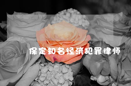 保定知名经济犯罪律师 保定知名经济犯罪律师