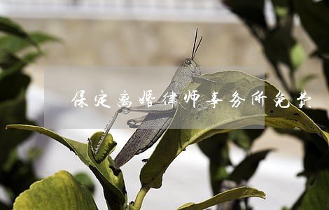 保定离婚律师事务所免费 保定离婚律师事务所免费