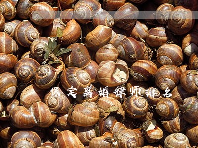 保定离婚律师排名 保定离婚律师排名