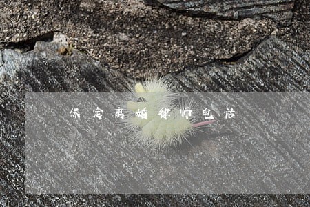 保定离婚律师电话