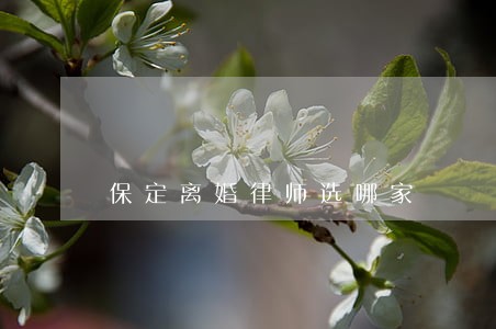保定离婚律师选哪家