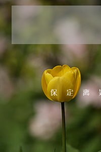 保定离婚财产律师推荐 保定离婚财产律师推荐
