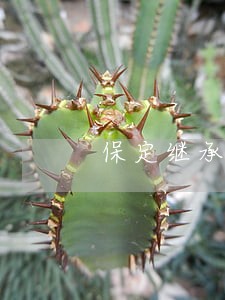保定继承免费法律咨询 保定继承免费法律咨询