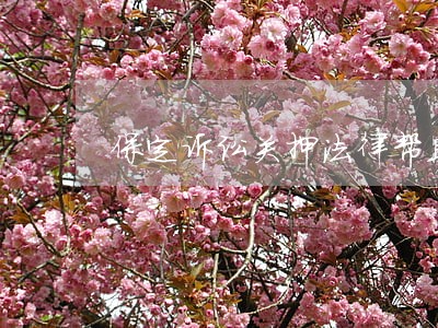 保定诉讼关押法律帮助 保定诉讼关押法律帮助