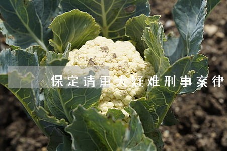 保定请重大疑难刑事案律师 保定请重大疑难刑事案律师