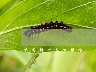 保定辩护专业律师 保定辩护专业律师
