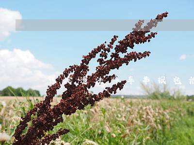 保定违法停车举报电话 保定违法停车举报电话