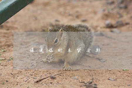 保定银行车贷逾期 保定银行车贷逾期