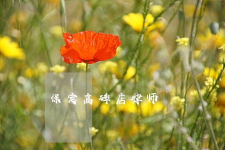 保定高碑店律师 保定高碑店律师