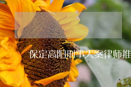 保定高阳刑事大案律师推荐 保定高阳刑事大案律师推荐