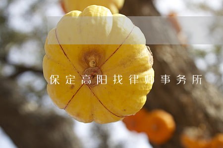 保定高阳找律师事务所 保定高阳找律师事务所