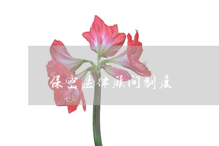 保密法律顾问制度 保密法律顾问制度
