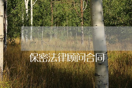 保密法律顾问合同