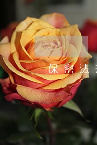 保密法规知识答题 保密法规知识答题