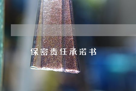 保密责任承诺书