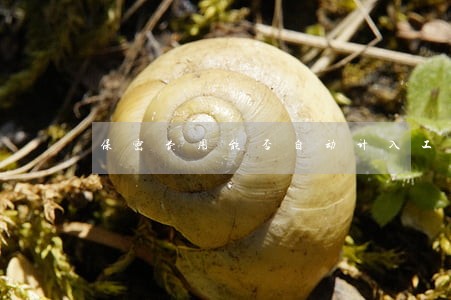 保密费用能否自动计入工资法规 保密费用能否自动计入工资法规