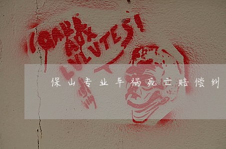 保山专业车祸死亡赔偿纠纷律师 保山专业车祸死亡赔偿纠纷律师